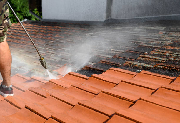 Best Pressure Washing Near Me  in Fort Dix, NJ
